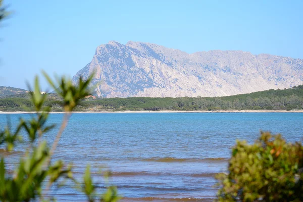 Playa Lu Impostu con isla Tavolara — Foto de Stock