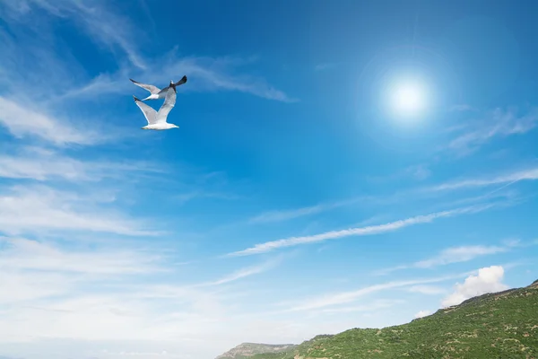 Über einen grünen Hügel fliegen — Stockfoto