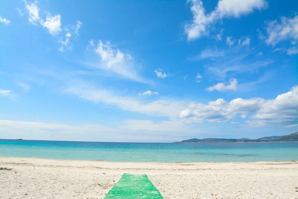 Zielony chodnik na plaży — Zdjęcie stockowe
