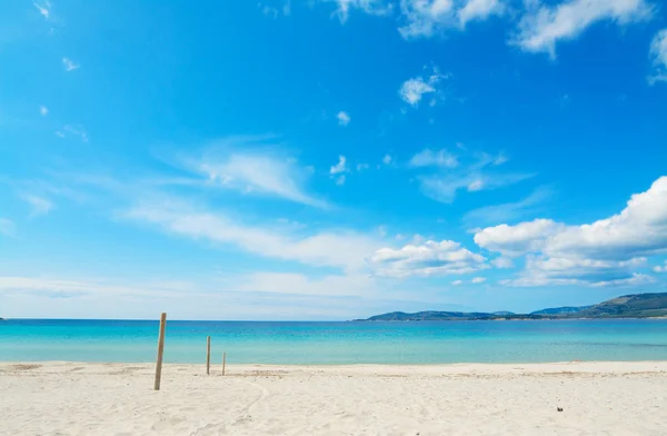 Poles by the shore — Stock Photo, Image