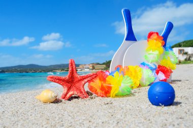 raketleri ve denizyıldızı deniz kenarında