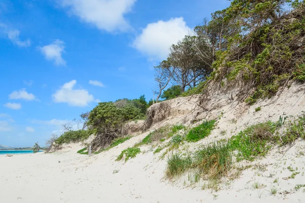 Duna de areia na praia Maria Pia — Fotografia de Stock