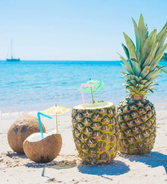椰子、 菠萝的海岸线 — 图库照片