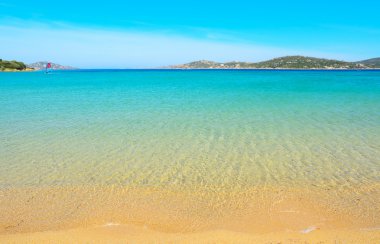 altın sahil ve porto pollo sörfçü