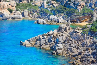 kayalar ve Capo Testa kıyı şeridi bitkilerde