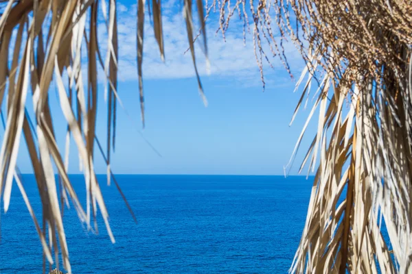 Costa Paradiso νερό και palm κλάδους — Φωτογραφία Αρχείου