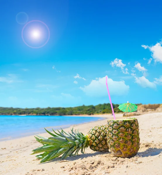 Ananas door de kust — Stockfoto