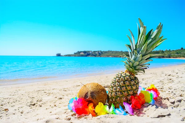 Tropiska frukter vid havet — Stockfoto