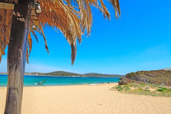 Palm dak in porto pollo strand — Stockfoto