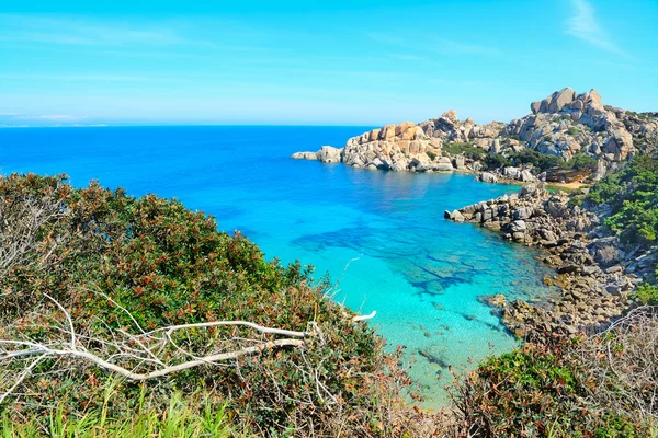 La costa di Capo Testa in una giornata limpida — Foto Stock