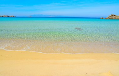 Rena Bianca beyaz kum