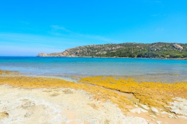 Capo Testa sarı kayalarda