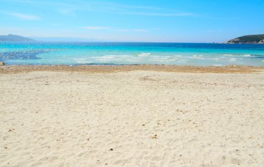 Capo Testa sarı shore