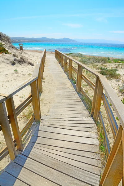 Boardwalk to the shore — Stock Photo, Image