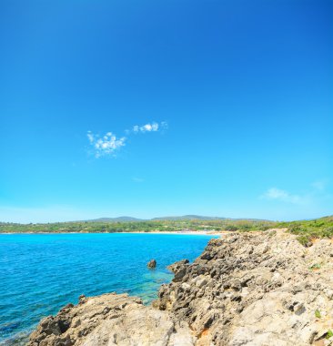 Alghero shore gri kayalarda
