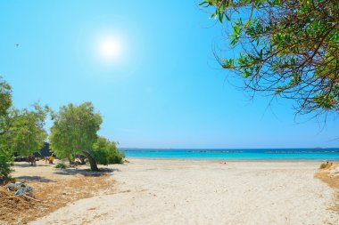 Alghero lido açık yaz gününde