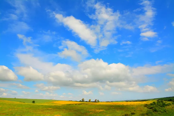 Облачное небо и зеленое поле — стоковое фото