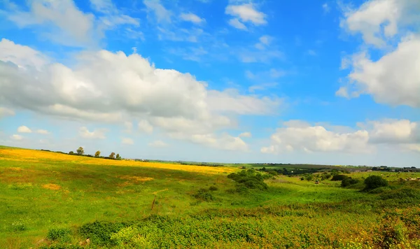 Chmury nad polem zielony — Zdjęcie stockowe