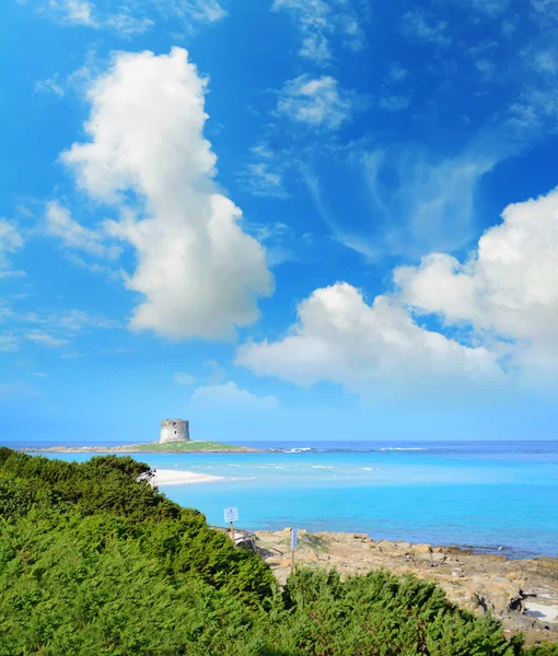 Spiaggia La Pelosa sotto un cielo nuvoloso , — Foto Stock