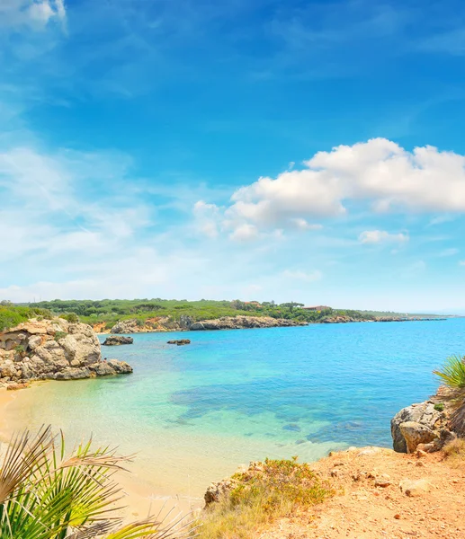 Spiaggia paradisiaca in una giornata limpida ad Alghero — Foto Stock