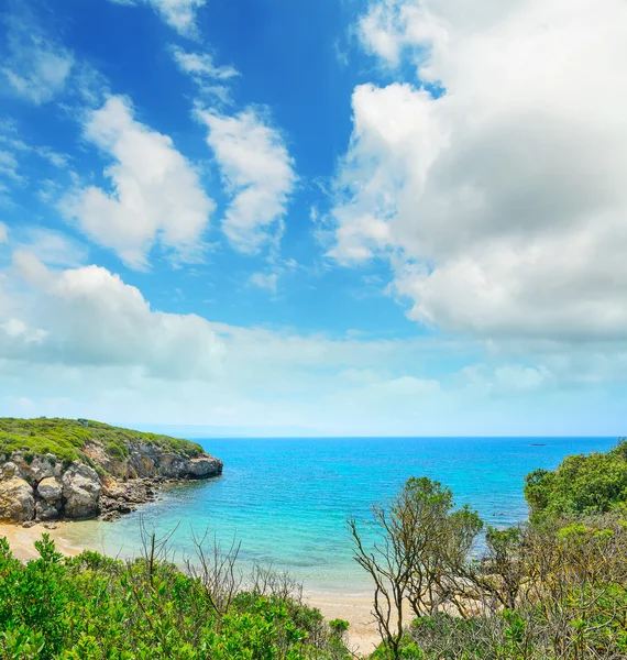 Färgglada strandlinjen under en molnig himmel i Alghero — Stockfoto