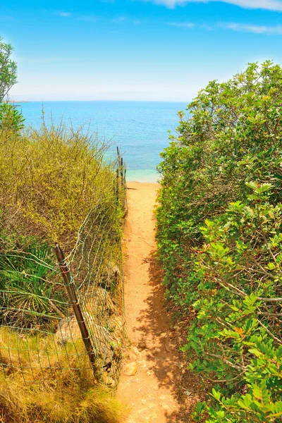 Sentiero per la spiaggia di Alghero — Foto Stock