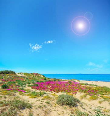 Platamona kıyı şeridi üzerinde parlayan güneş