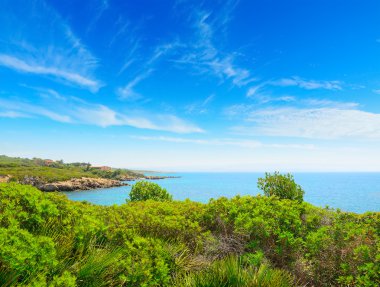 bitkiler ve Alghero mavi denizlerde