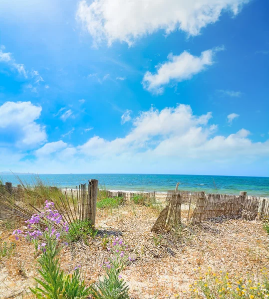 Alghero shoreline on a unny summer day — Stock Photo, Image