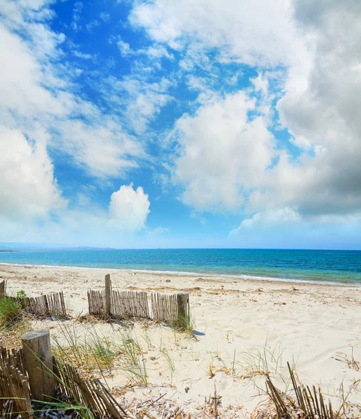 Dřevěné palisády na pláži ve městě alghero — Stock fotografie