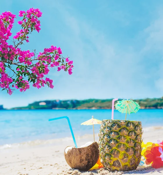 Kokos och ananas dricka under rosa blommor — Stockfoto