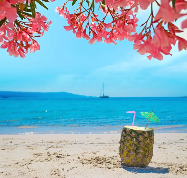 Piña con paja y paraguas bajo flores rosadas — Foto de Stock