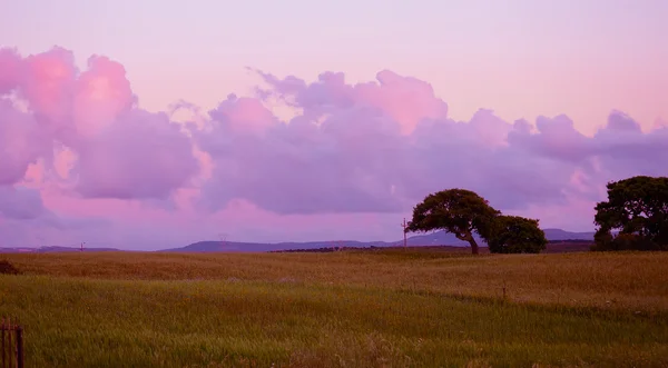 Roze zonsondergang in Sardinië — Stockfoto