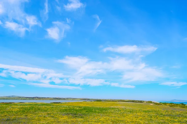 Cielo nublado sobre el prado de Fiume Santo —  Fotos de Stock