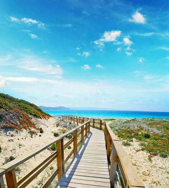 Paseo marítimo de madera en Capo Testa en un día despejado —  Fotos de Stock