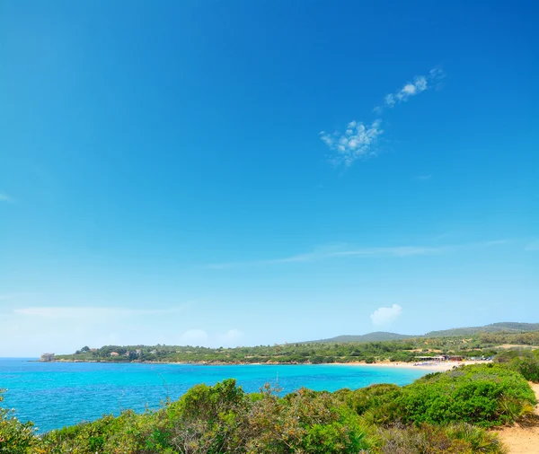 Green and blue shore in Alghero — Stock Photo, Image