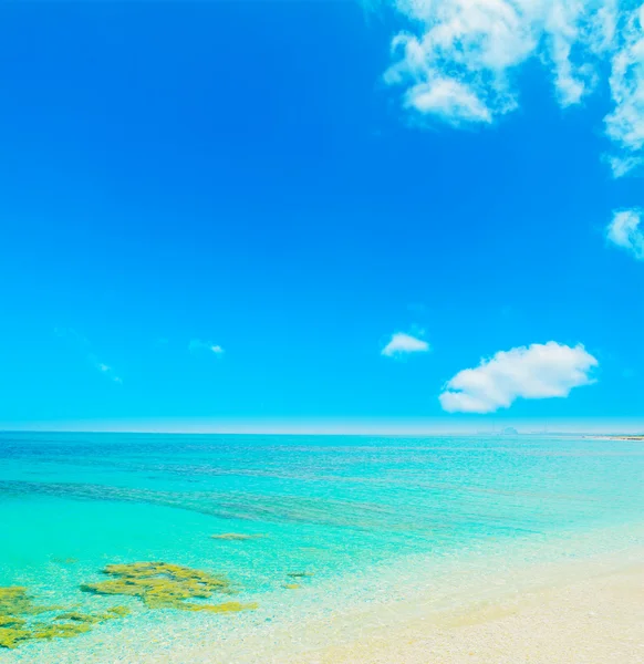 Райский пляж и чистое небо — стоковое фото