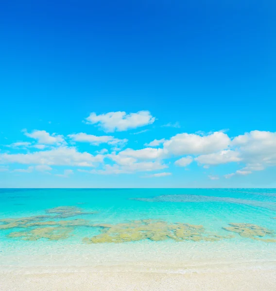 Paradise beach on a clear day — Stock Photo, Image