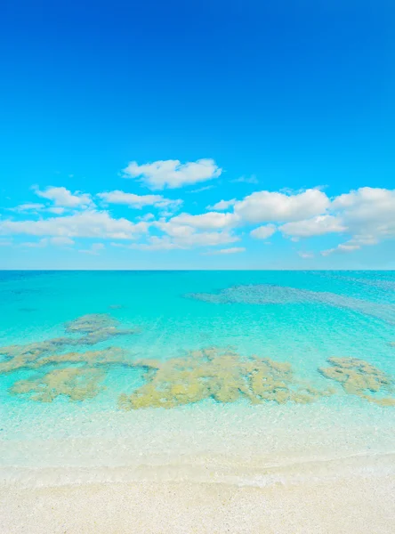 Paradijs strand op een heldere dag — Stockfoto