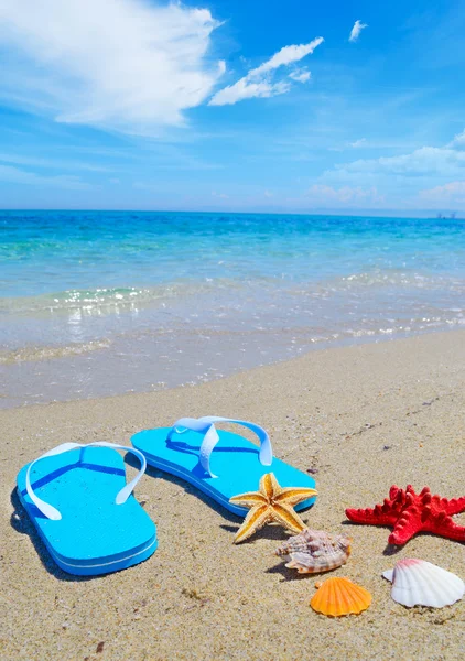 Flip flops and shells by the shore — Stock Photo, Image