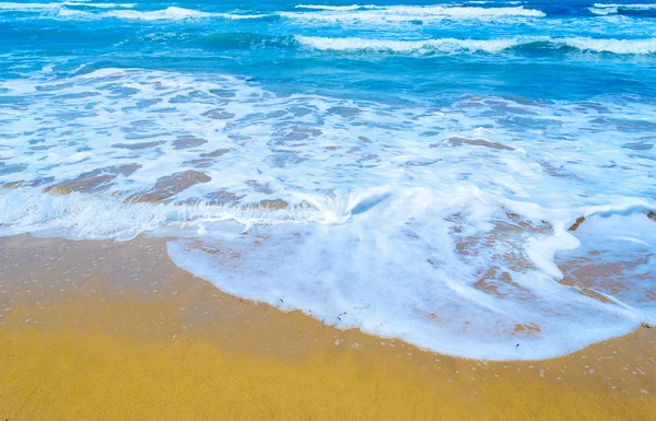 Costa dourada e água azul na Sardenha — Fotografia de Stock
