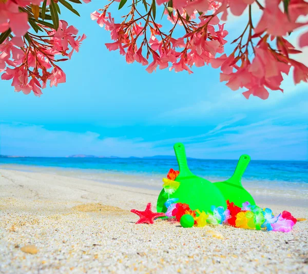 Raquetas de playa bajo flores rosadas — Foto de Stock