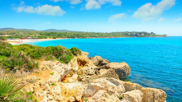 Alghero'da kayalık sahil — Stok fotoğraf