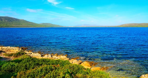 Porto Conte orilla en un día claro de verano — Foto de Stock