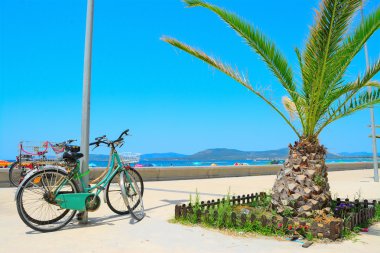 eski Bisiklet ve küçük palmiye ağacı Alghero deniz