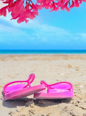 renkli zakkumlar altında pembe flip flop