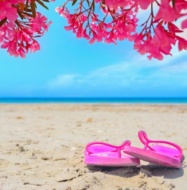 renkli zakkumlar altında pembe flip flop