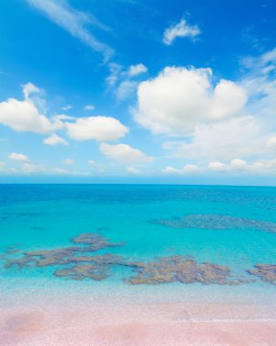 bir bulutlu gökyüzü altında pembe shore