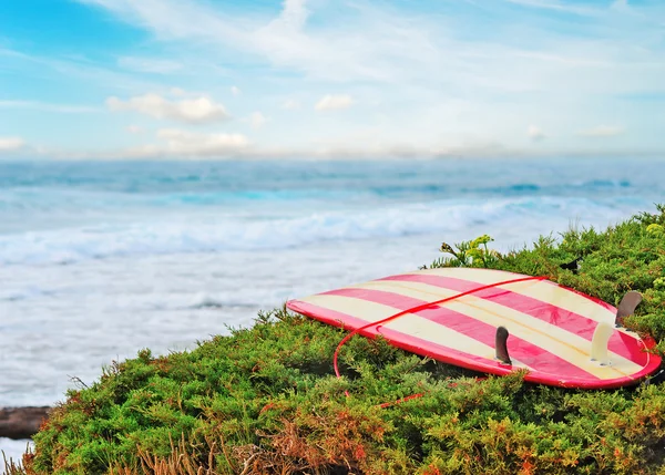 Vintage surfboard on a green bush — Stock Photo, Image