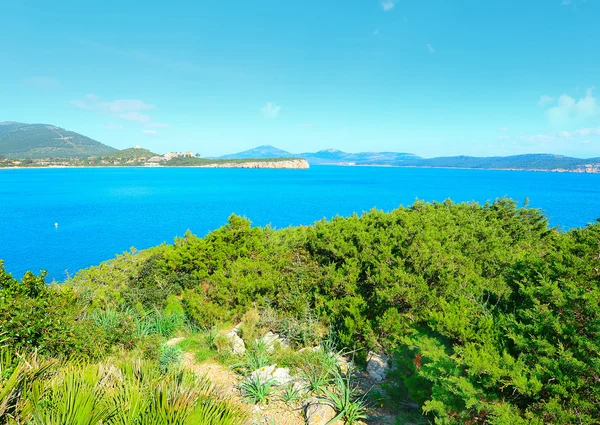 Cala Dragunara görülen Sardunya kıyı şeridi — Stok fotoğraf